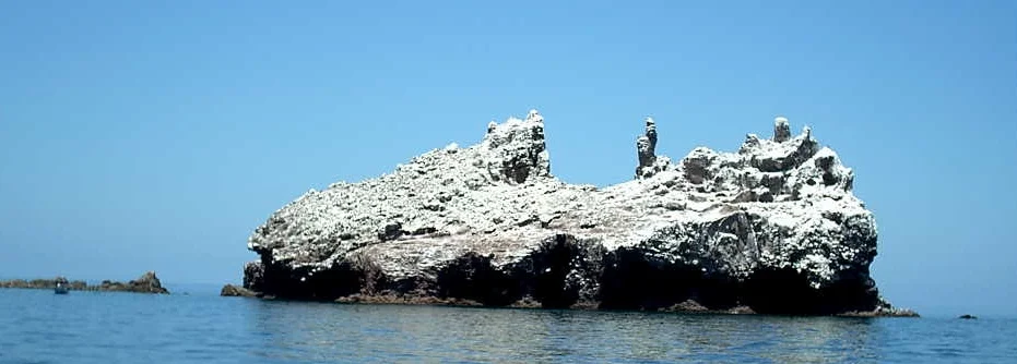 La Lobera in Los Islotes, Espiritu Santo Island